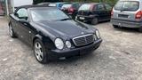 Mercedes-Benz 320 CLK CABRIO VOLLAUSSTATUNG SCHECKHEFT  - Mercedes-Benz 320 in Bonn