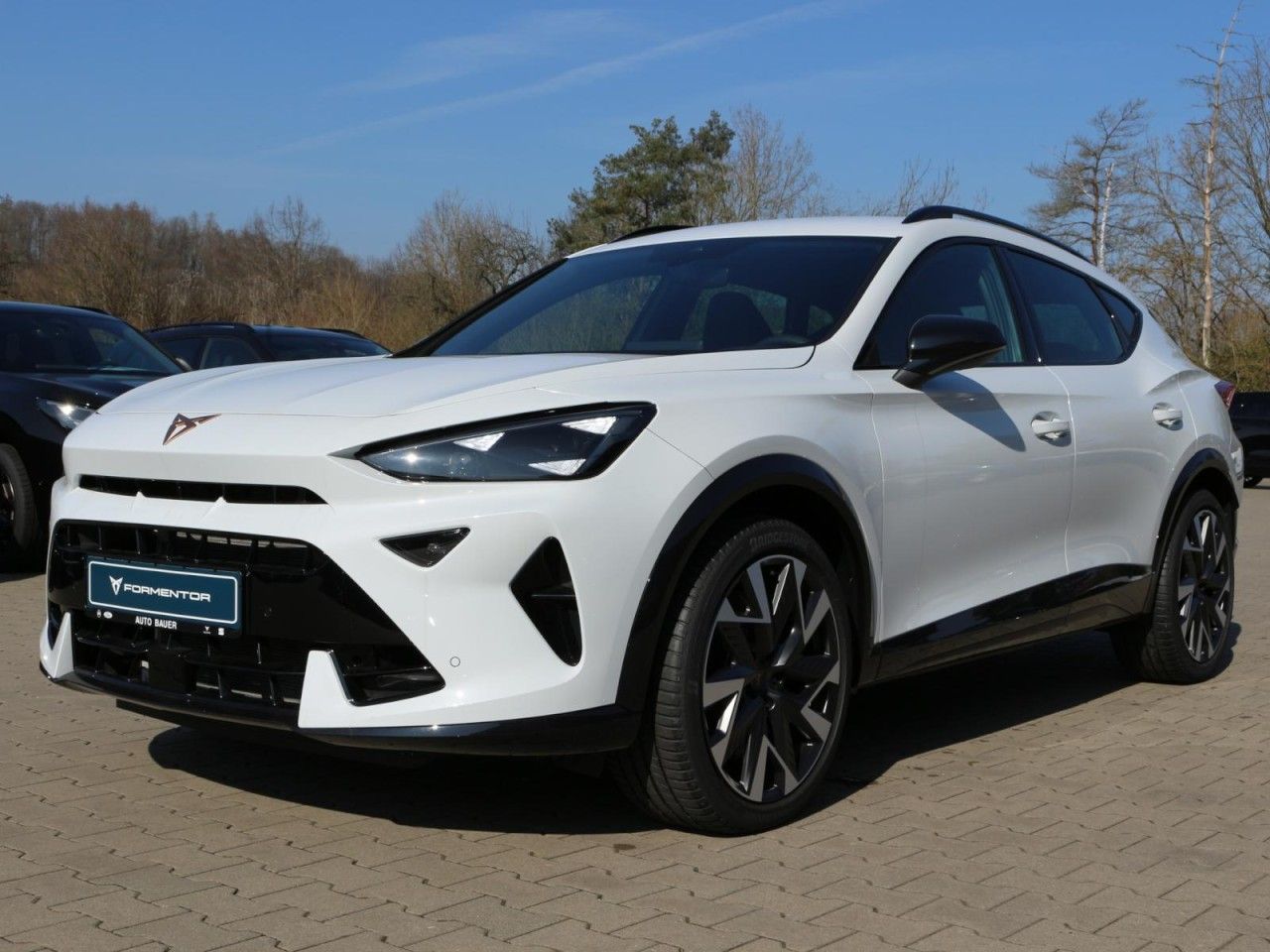 Fahrzeugabbildung CUPRA Formentor VZ 2.0 TSI DSG 4Drive