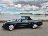 Alfa Romeo Spider