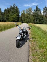 Harley-Davidson FLSTS Heritage Springer 100th Anniversary  - Angebote