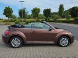 Volkswagen Beetle 1.4 TSI 150PS Cabriolet ALLSTAR 1. Hand - Volkswagen Beetle: Cabrio