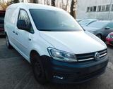 Volkswagen Caddy Nfz Maxi Kasten Trendline BMT
