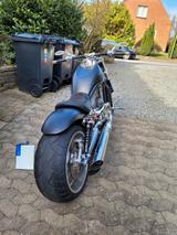 Harley-Davidson V Rod VRSCA - Angebote