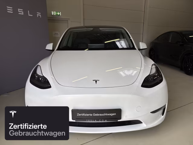 Tesla Model Y Performance