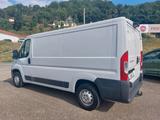 Fiat Ducato Kasten SX L2H1 AHK/Navi/Kamera/Tempomat - Fiat Ducato: L1h2