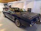 Ford Mustang Cabrio 64 1/2, D-Code 4.7l V8 - gebrauchte Ford Mustang aus dem Jahr 1964