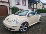 Volkswagen VW Beetle 1.6 Cabrio 1Hand - Volkswagen Beetle aus 2007: Cabrio