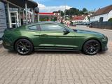 Ford Mustang Mach 1  5.0L V8 *Schaltgetriebe* - Ford Mustang: Mach