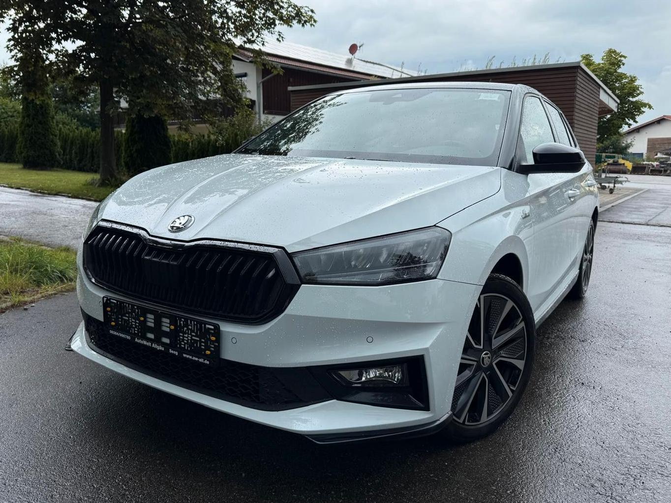 Skoda Fabia 1.0 MPI/Monte Carlo/Kamera/PDC/17"Zoll