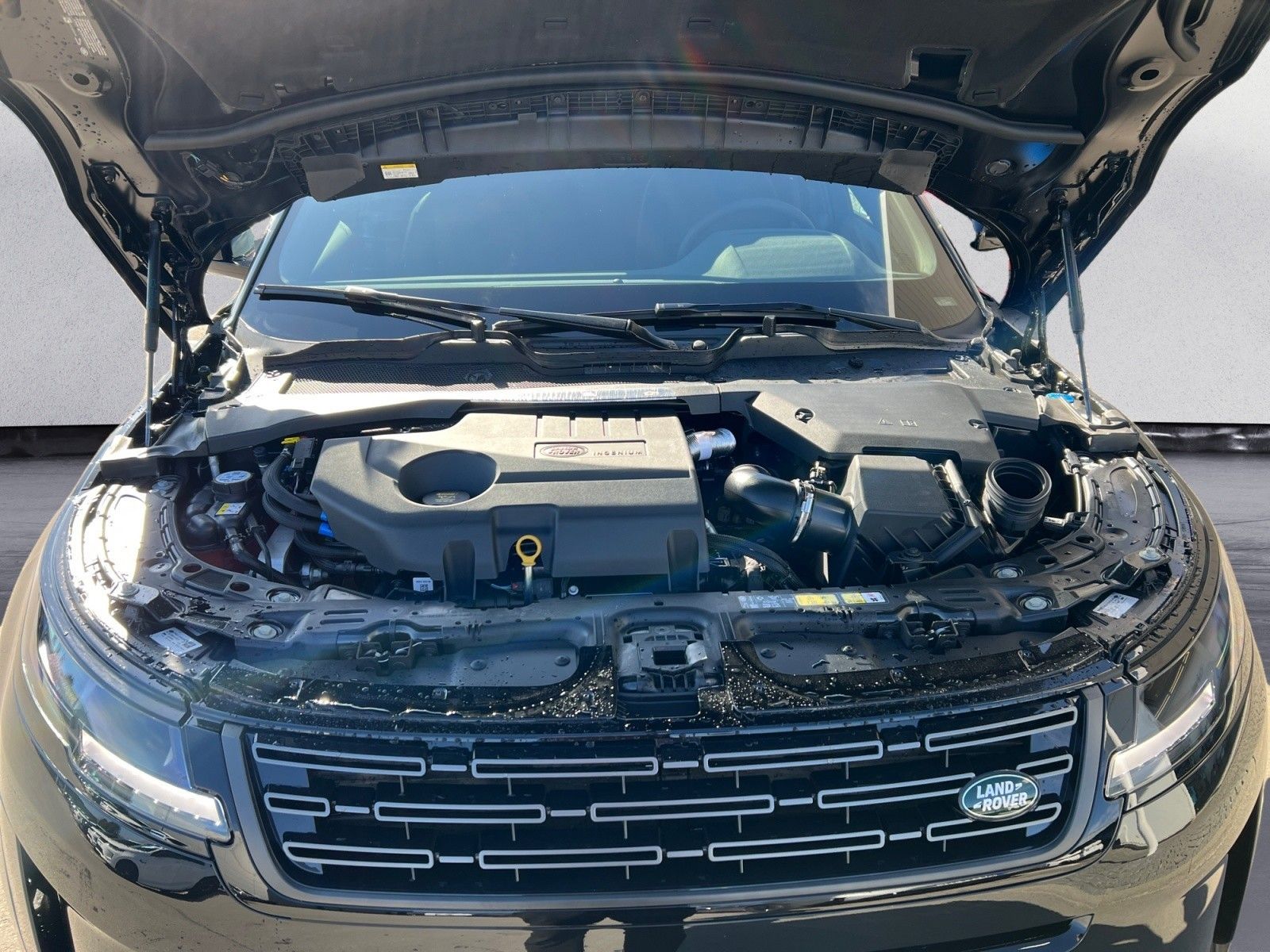 Land Rover Range Rover Evoque - Bild 10