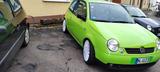 Volkswagen Lupo 1.0 BASIS Basis - Volkswagen Lupo: Grün