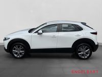 Mazda CX-30 - Vorschau Bild 2