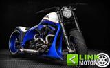 Harley-Davidson HARLEY-DAVIDSON 1340 Fat Boy Special Crazy Wolf - HARLEY-DAVIDSON 1998 FAT BOY