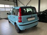 Fiat Panda 1.2 8V *INSP&ZAHNR&HU NEU/ALLWETTER/KLIMA* - Fiat Panda Gebrauchtwagen in Dortmund