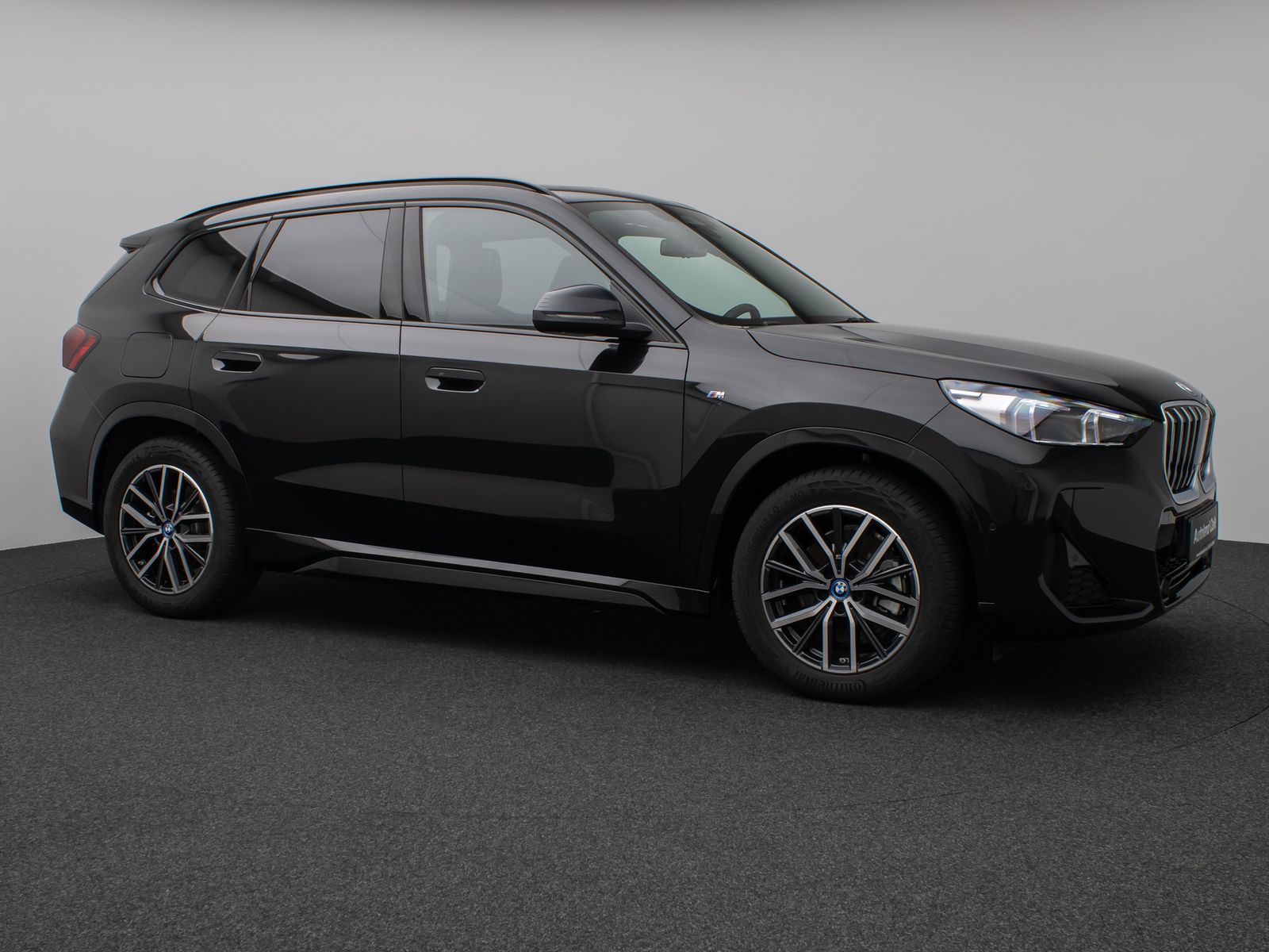 Fahrzeugabbildung BMW X1 xD25e M Sport Panorama Kamera H/K DAB Komfort