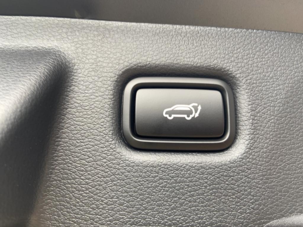 Kia Ceed_sw Sportswagon 1.5 T-GDI 140PS Automatik/LE