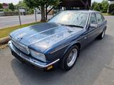 Jaguar Daimler XJ40  orig. 20 000 KM Klimaanlage - Jaguar Daimler: 4.0