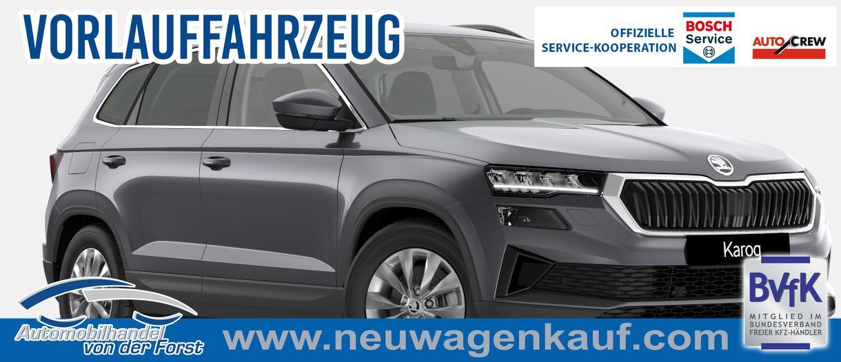 Skoda "Selection" LIEFERUNG KOSTENLOS & PREISGARANT...