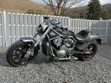 Harley-Davidson Street Rod - HARLEY-DAVIDSON STREET ROD