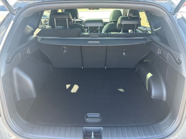 Fahrzeugabbildung Hyundai Tucson N Line Hybrid Sitz+Assi+ECS+Panoramadach