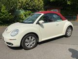 Volkswagen New Beetle 1.6 United Cabriolet United - weiße Volkswagen New Beetle