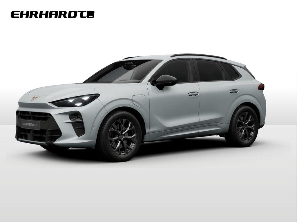 Image of Cupra Terramar