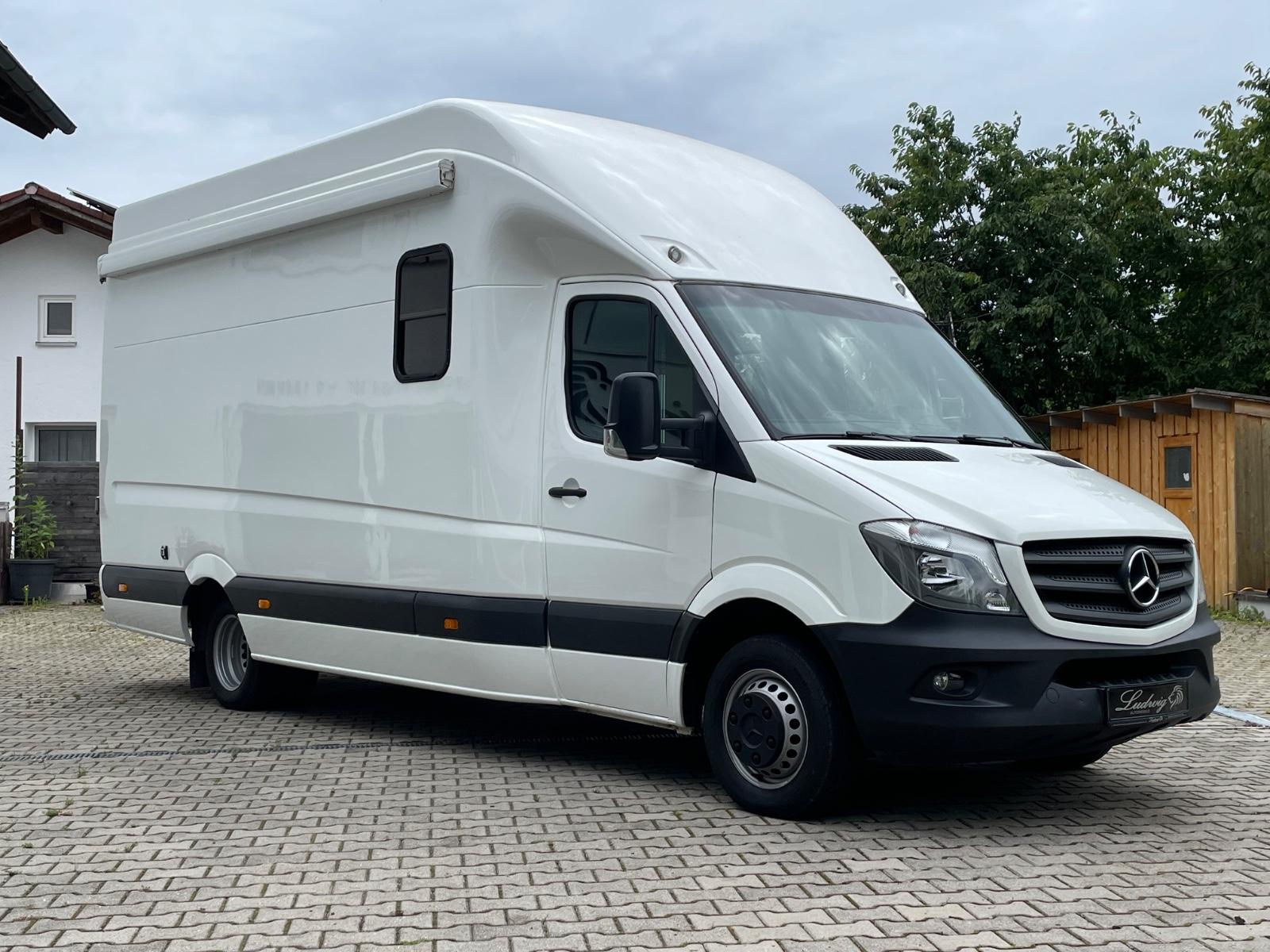 Mercedes-Benz Sprinter 518/V6 ohne AdBlue