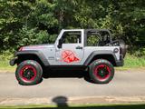 Jeep Wrangler JK  3.6 V6 Automatik Cabrio  - Jeep Wrangler: 3.6