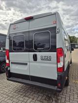 Bürstner Eliseo C 642 Automatik, Fenster Hecktür - Bürstner Eliseo