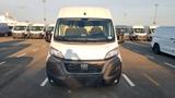 Fiat Ducato - Fiat Ducato Neuwagen