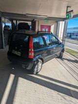 Fiat Panda - Fiat Panda Gebrauchtwagen in München