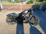 Harley-Davidson Harley Davidson Sportster Iron 883 - Offers