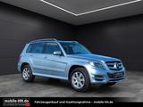 Mercedes-Benz GLK 220 CDI BlueEfficiency 4Matic 1. Hand - 43.0 - Mercedes GLK 220 mit Anhängerkupplung