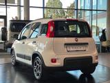 Fiat Panda 1.0 City Life UConnect Klima Shz PDC DAB+  - Fiat Panda: Weiß