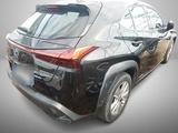 Lexus UX 2.0 HEV 250 e-CVT*LED*Kamera*ACC*NAVI* - Lexus UX aus 2020