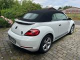 Volkswagen Beetle CABRIO 1.2TSI BMT Design,TOP-AUTO WIE NEU - Volkswagen Beetle in Düsseldorf