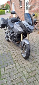 Triumph Tiger 1050 - TRIUMPH TIGER 1050