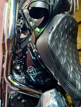 Harley-Davidson Softail Standard (FXST) | MJ 202 - HARLEY-DAVIDSON SOFTAIL STANDARD FXST