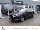 Mazda CX-30 Selection X 2.0 L Automatik Bose-Sound|360 - Mazda CX-30 in Essen