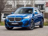 BMW X1 xDrive20d M SPORT.DR.ASS.PR.ASS.SHZ