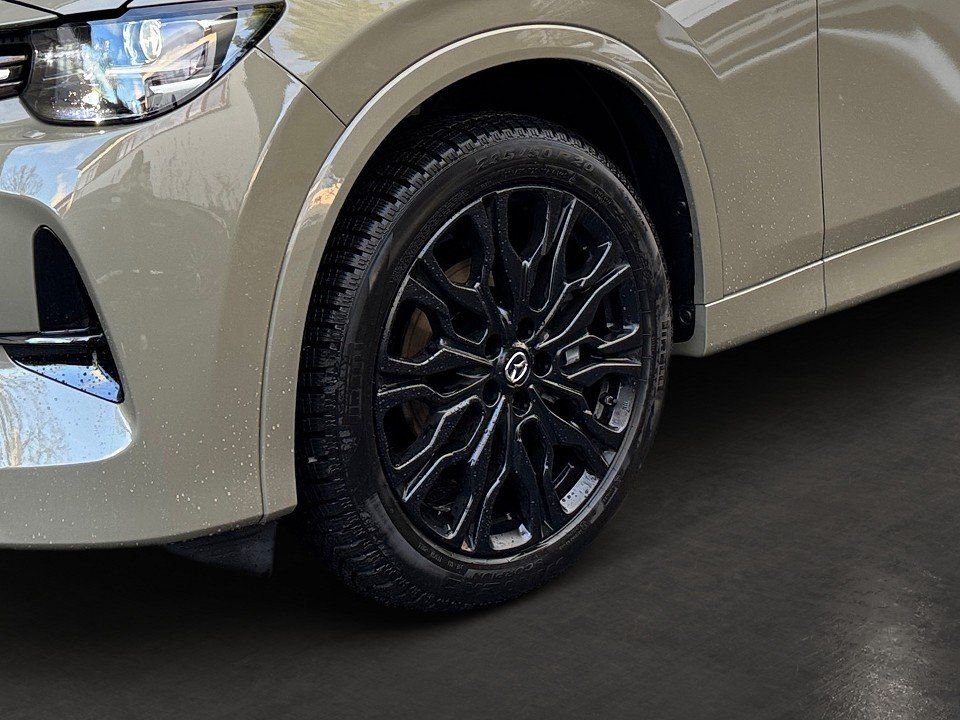 Fahrzeugabbildung Mazda CX-60 3.3d 254PS A/T AWD Homura COSO