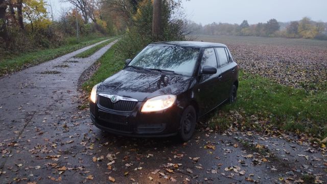 Skoda Fabia mit Neu Tüv