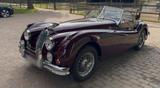 Jaguar XK 140 SE OTS C-Type - Privat - Jaguar XK aus 1955