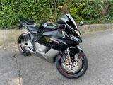 Honda CBR 1000 RR Fireblade Sc57 Liebhaber  - HONDA CBR 1000 RR SC57