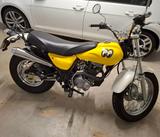 Skyteam Raptor 250 - SKYTEAM MOTORRAD
