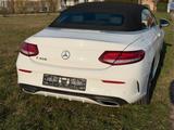 Mercedes-Benz C 300 AMG Cabrio Autom. *LED/LEDER/NAVI/AIRCAP* - Mercedes-Benz C 300 mit Benzin-Antrieb: Cabrio, Automatik