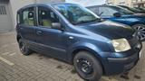 Fiat Panda 1.1 8V Active el.Fensterheber Allwetter - Fiat Panda Gebrauchtwagen in Düsseldorf