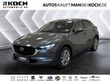 Mazda CX-30 2.5 140 6AT FWD Exclusive-line ACC 360 SHZ - Mazda CX-30: Exclusive Line