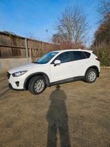 Mazda CX-5 SUV 2wd - Mazda 121 Gebrauchtwagen