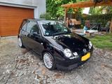 Volkswagen Lupo 1.4 FSI Standard - Volkswagen Lupo: Fsi